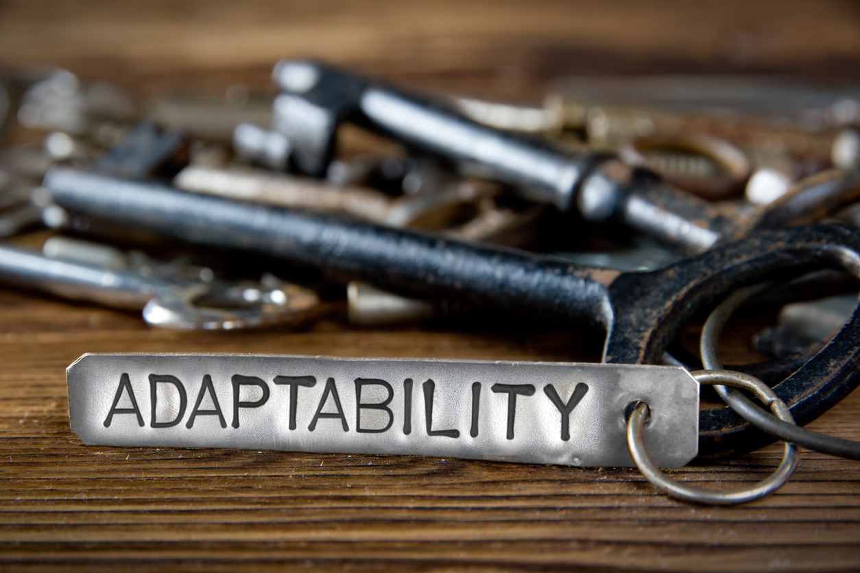 Adaptability is Key!